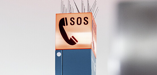 Das Bild zeigt das oberer Ende einer Notrufinformationssäule