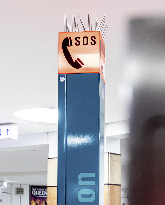 Das Bild zeigt das oberer Ende einer Notrufinformationssäule