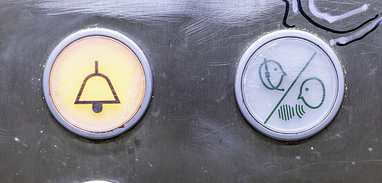 Das Bild zeigt den Notrufknopf in Aufzügen