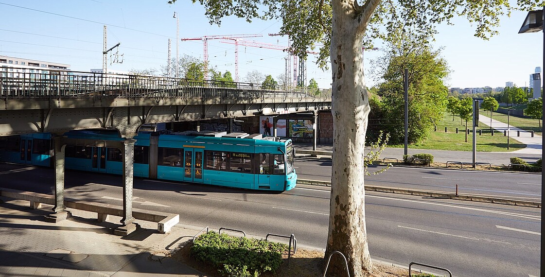 Willkommen bei der VGF!